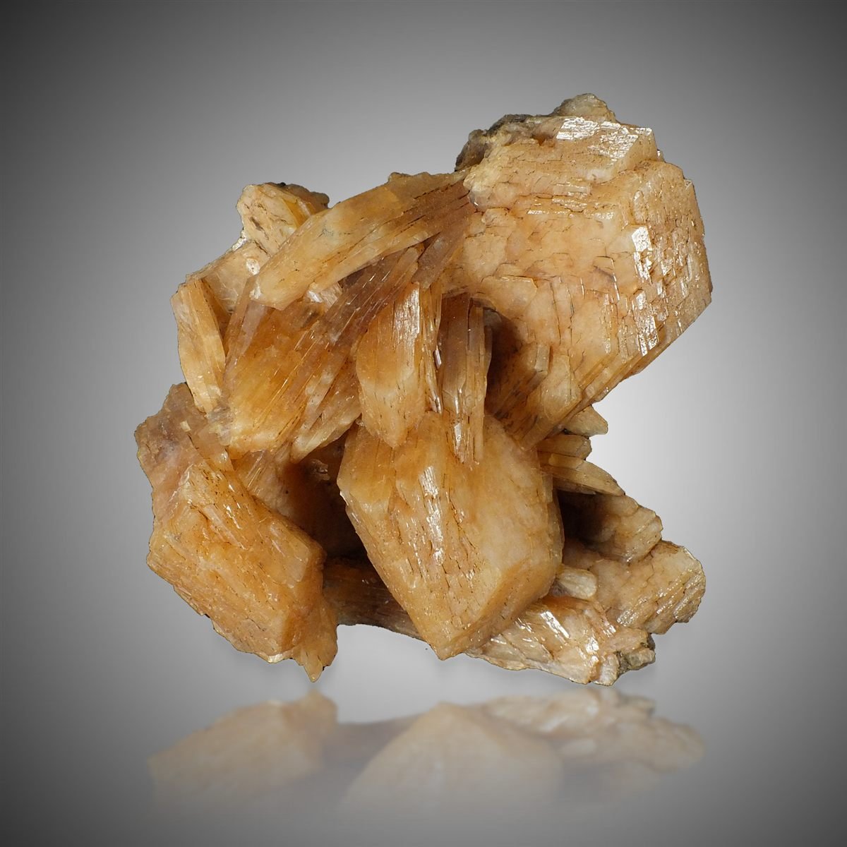 Stellerite photo 6