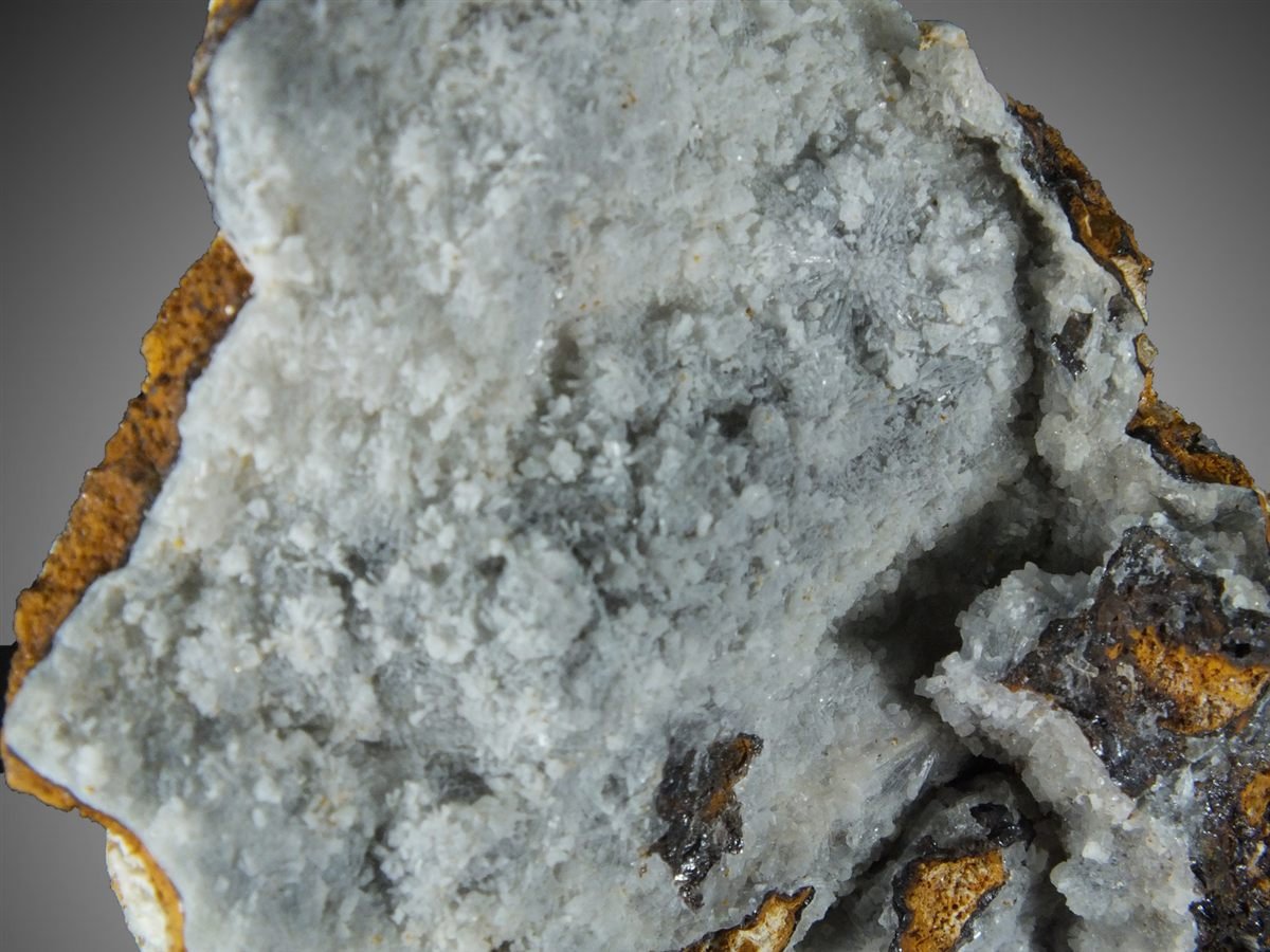 Angastonite with Minyulite photo 6