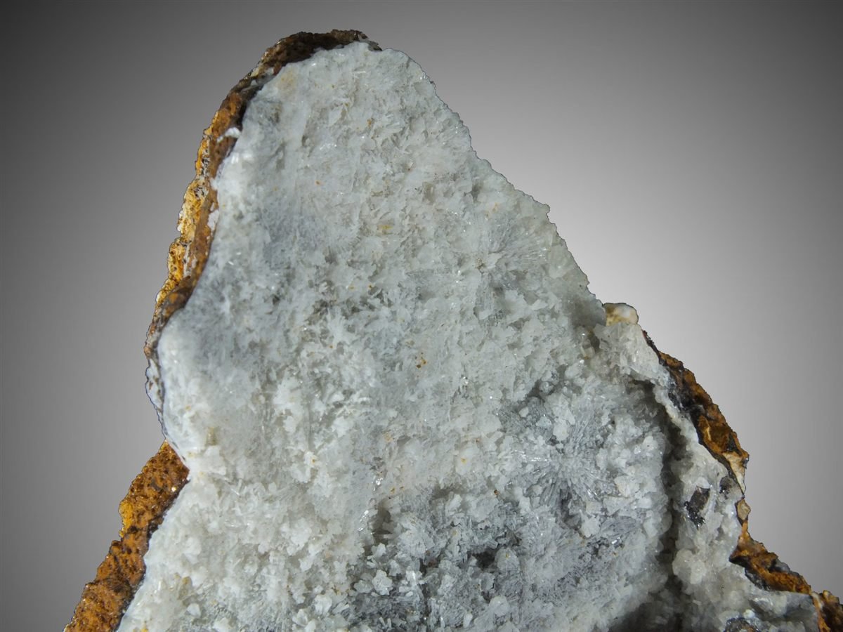 Angastonite with Minyulite photo 7