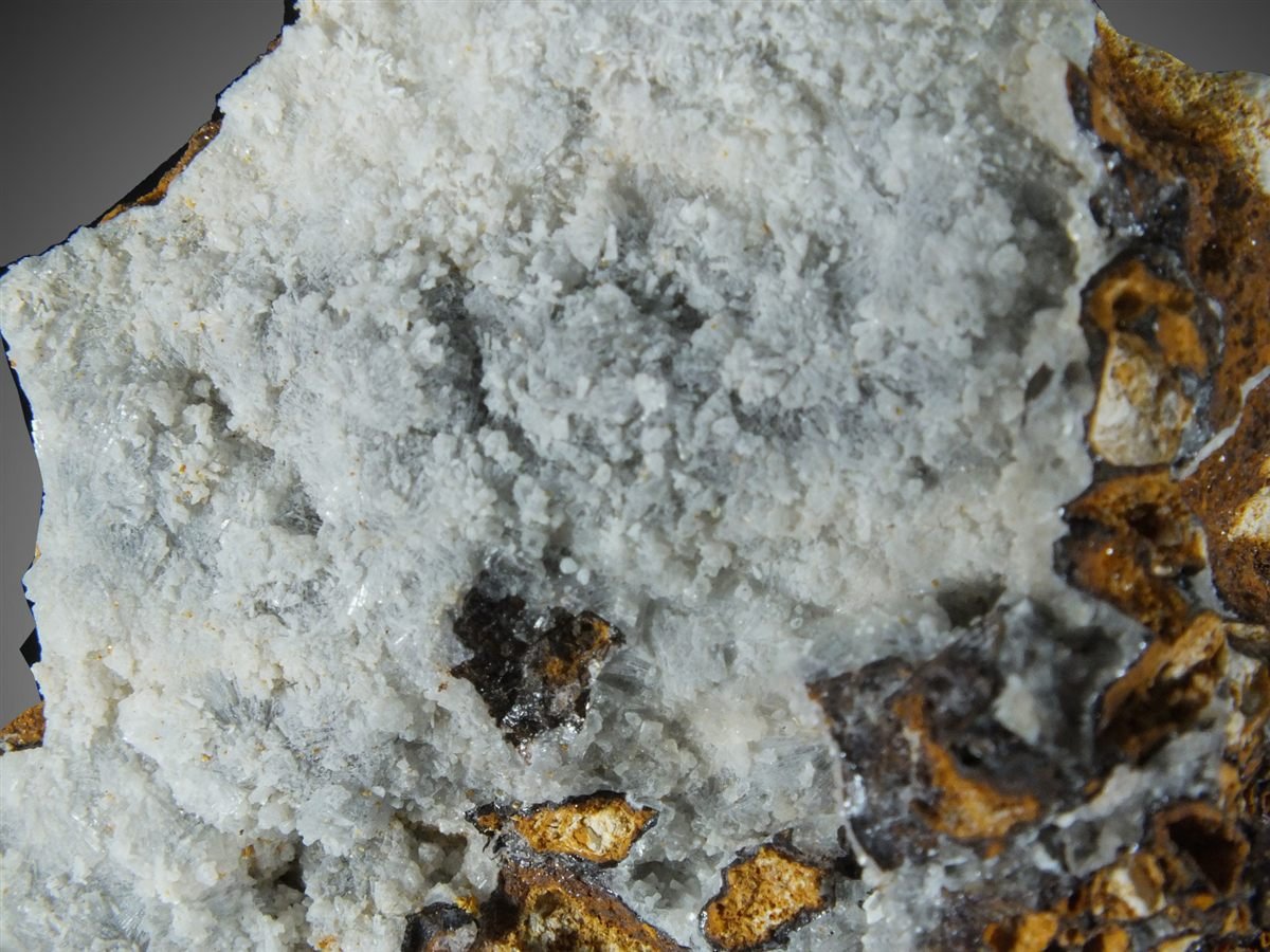 Angastonite with Minyulite photo 8