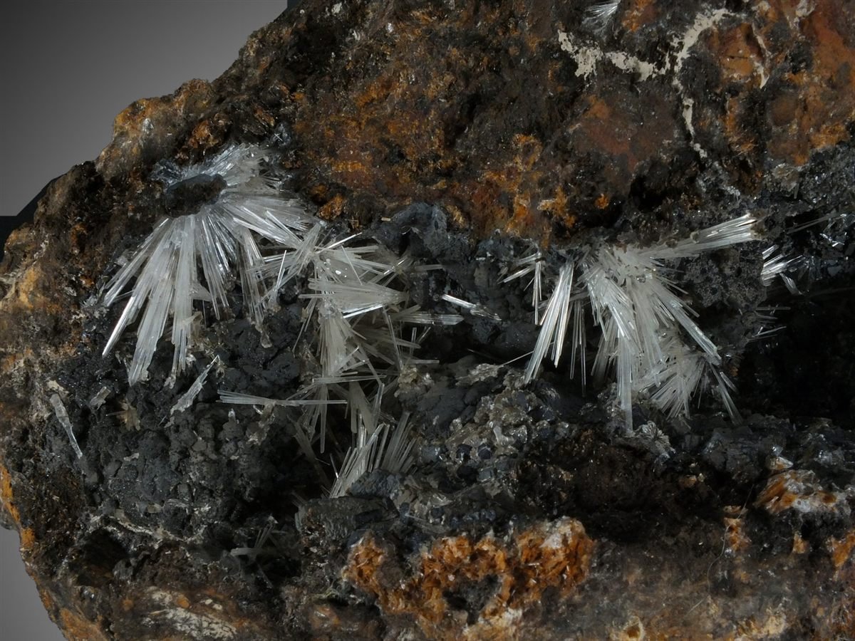 Scholzite with Cryptomelane photo 2