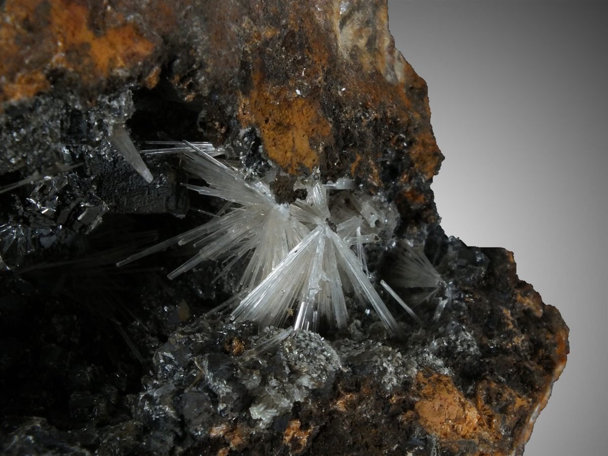 Scholzite with Cryptomelane photo 3