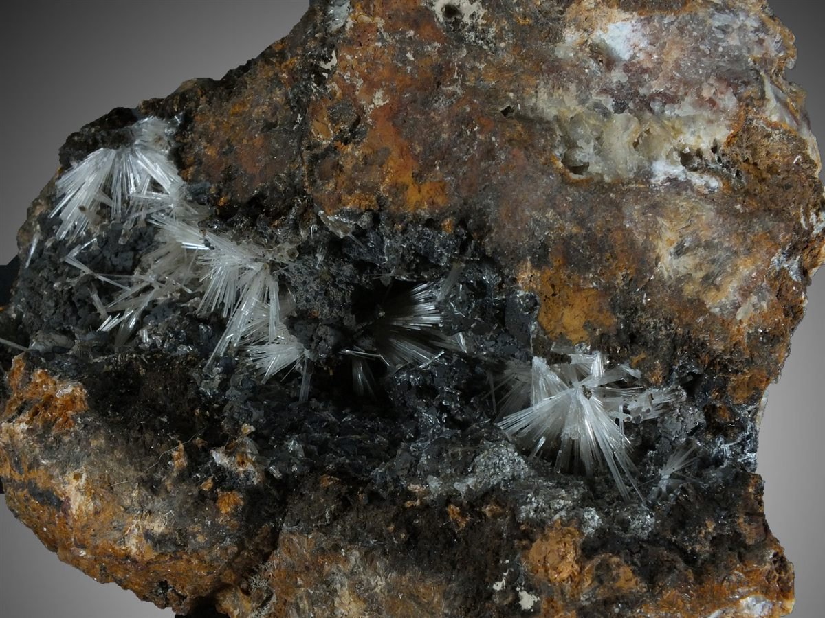 Scholzite with Cryptomelane photo 5