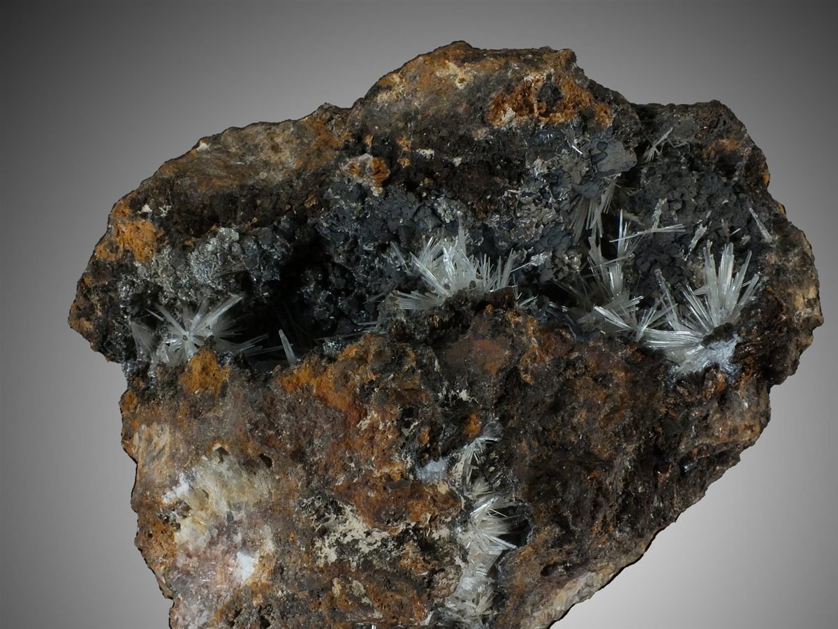 Scholzite with Cryptomelane photo 6