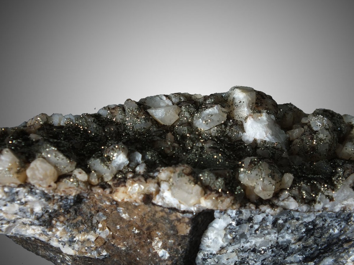 Pyrite on Calcite photo 5